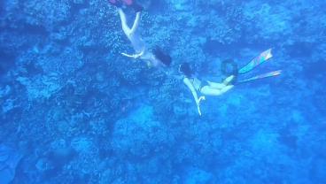 隐藏的危险